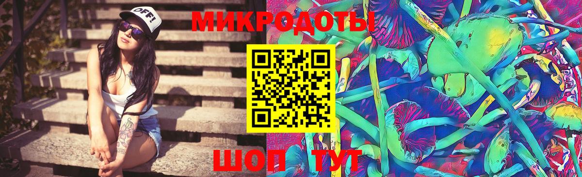 Кувандык  Галлюциногенные грибы GOLDEN TEACHER  Вход с VPN  Псилоцибиновые грибы Psilocybine cubensis 