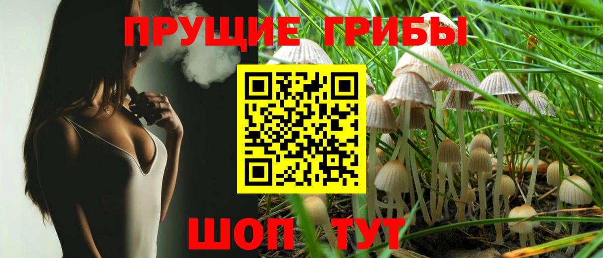 Псилоцибиновые грибы Psilocybine cubensis Кувандык